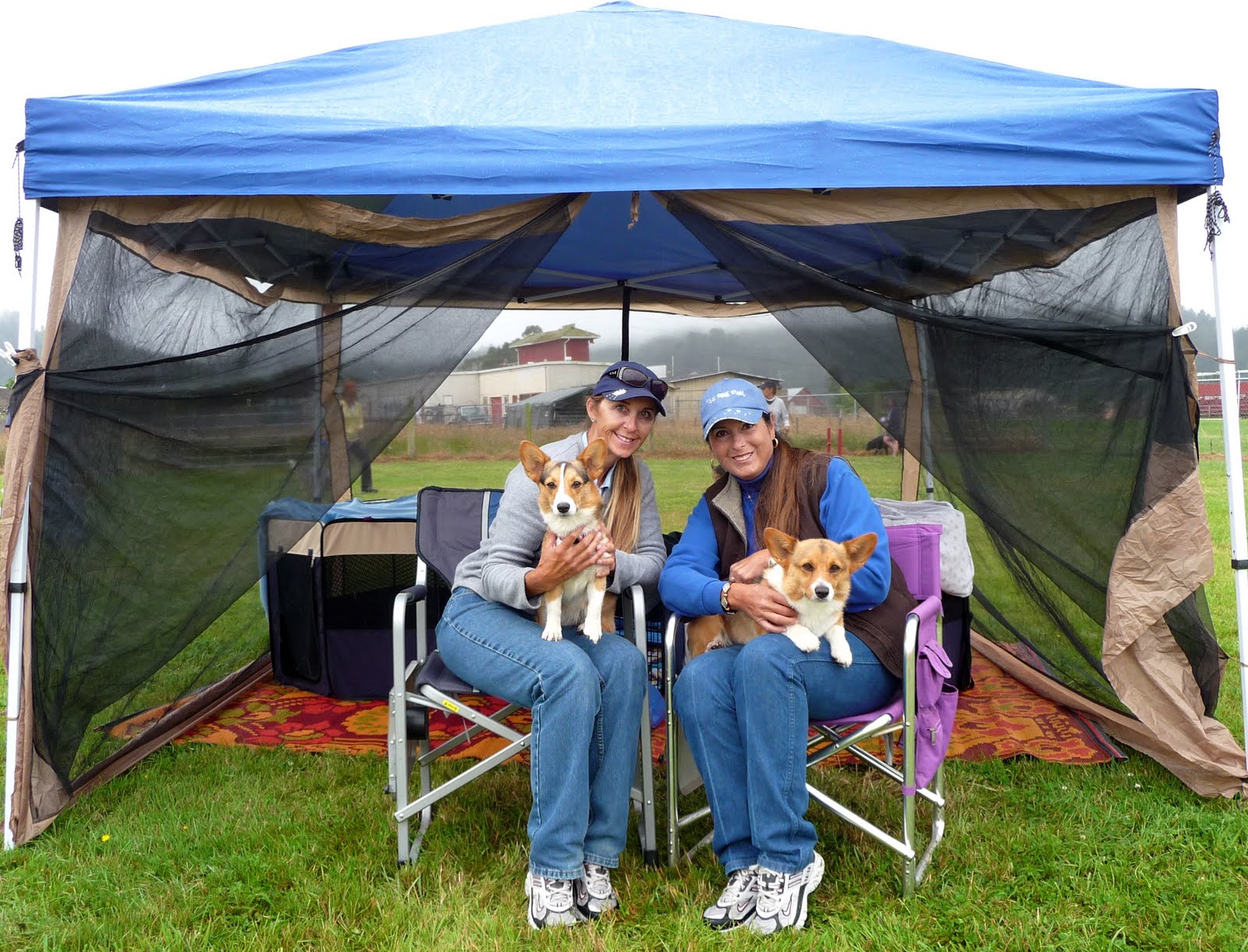 kathrin-burleson-akc-agility-trials-in-ferndale