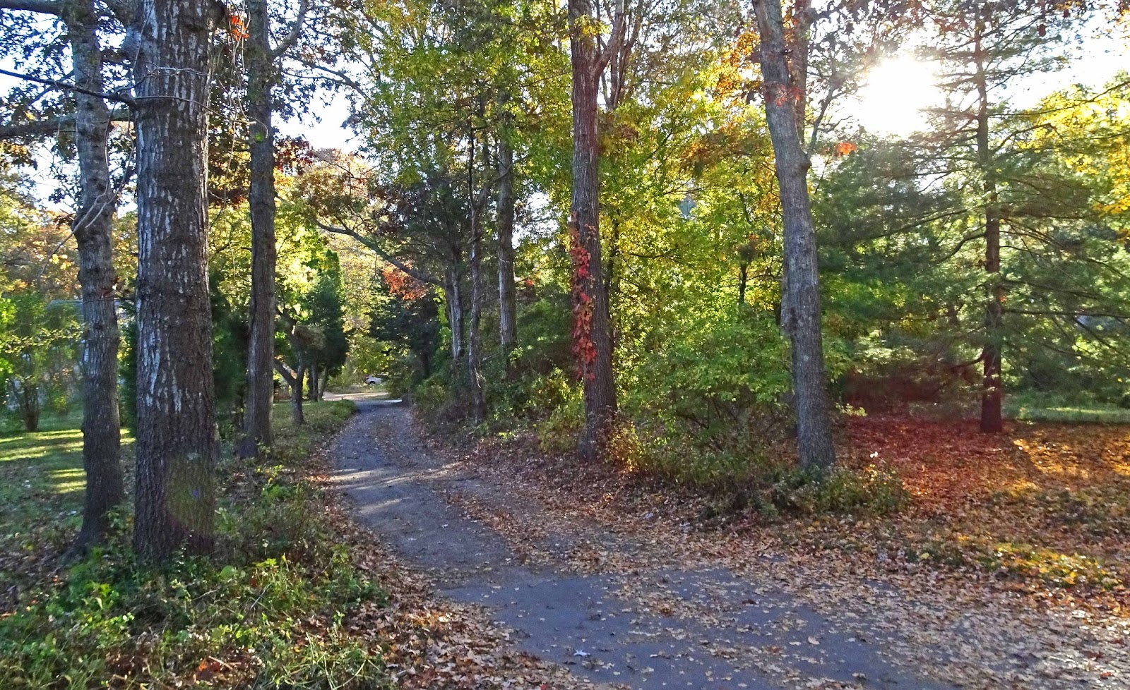 Joe's Retirement Blog A Manomet Walk, Rabbit Pond, Manomet, Plymouth