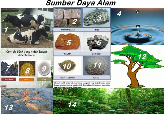Lembar Kerja Siswa JenisJenis Sumber Daya Alam Lembar