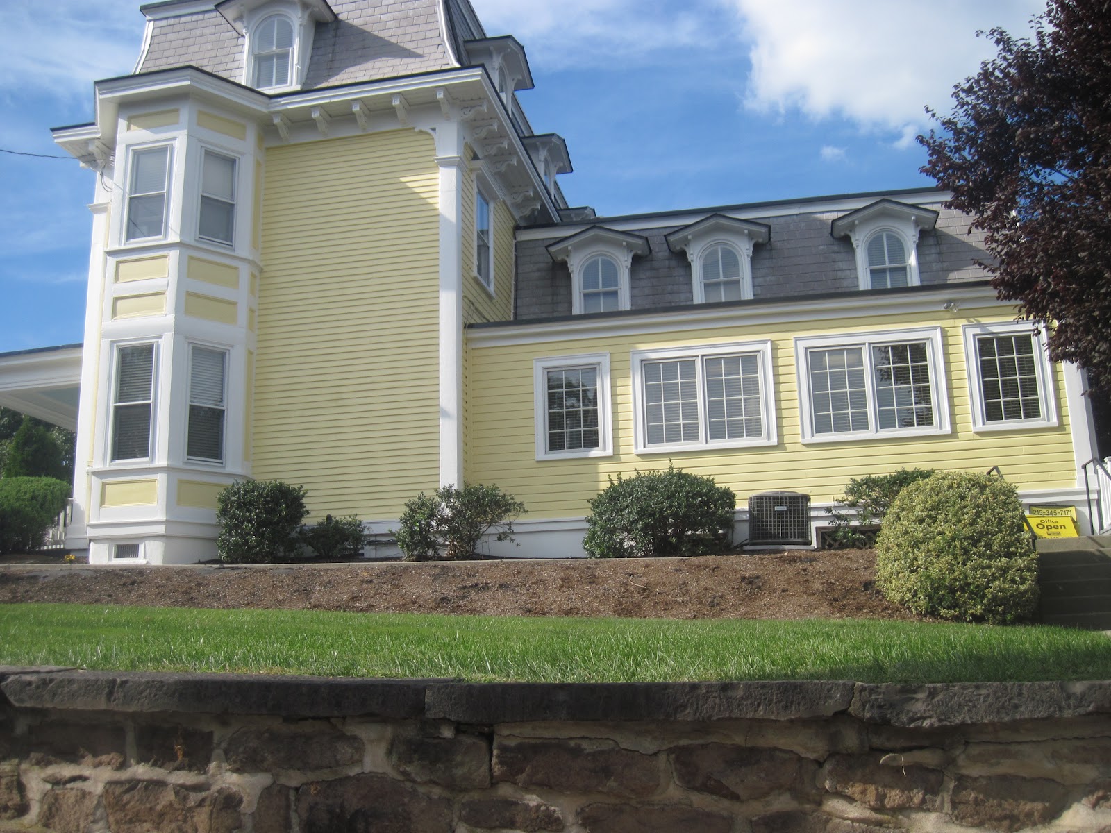 The Belle of Cowbell The Bipolar Therapist from Willow Grove, PA