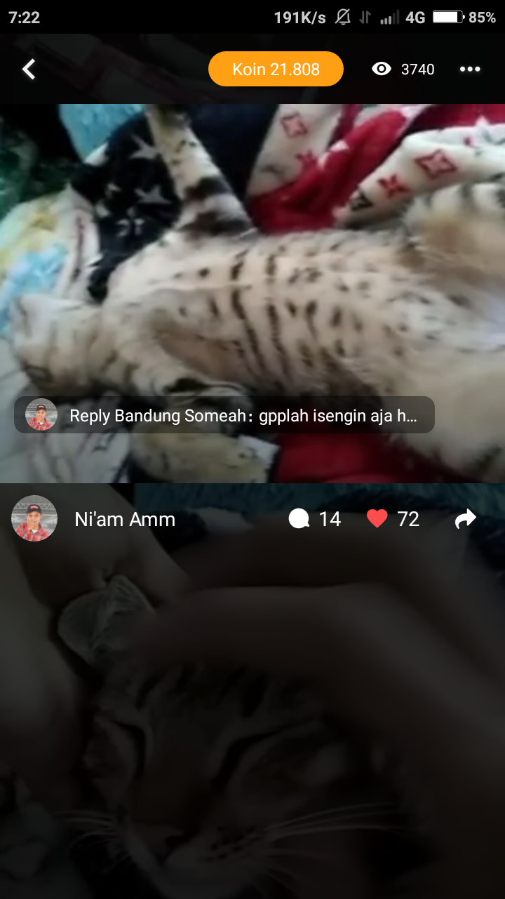 Tips cepat dapqt koin di kwai go Cara cepqt dapat koin di kwai go