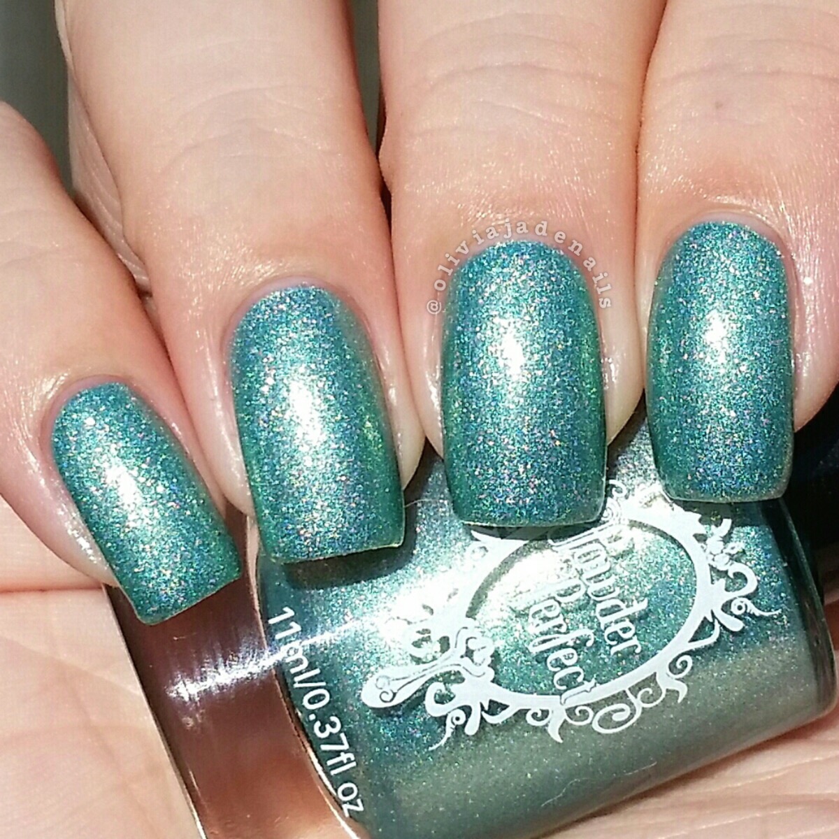 Powder Perfect Hazel Twig swatched by Olivia Jade Nails