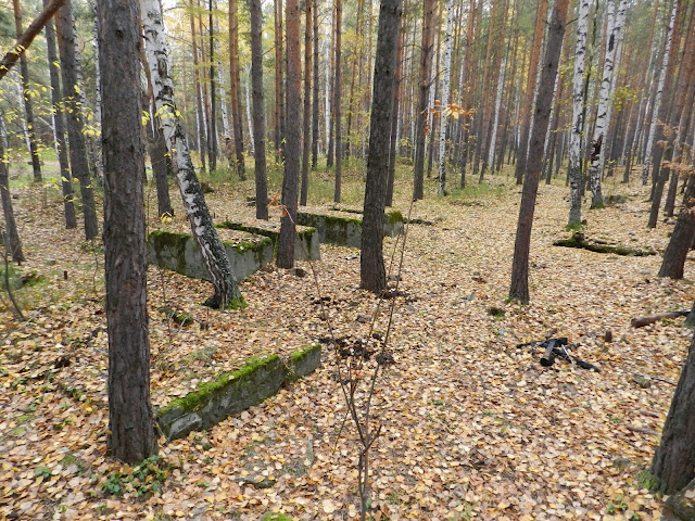 Бетонные блоки на месте бывшего динамитного завода