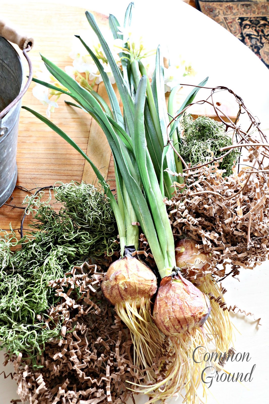 common ground Paperwhites in the Christmas Entry