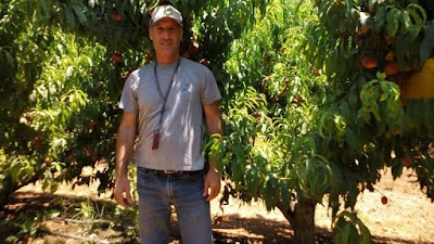 El virus del zika tiene un nuevo enemigo: tecnología israelí