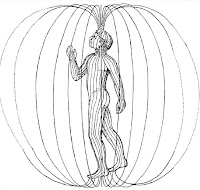 Tube Torus field - Czakra korony