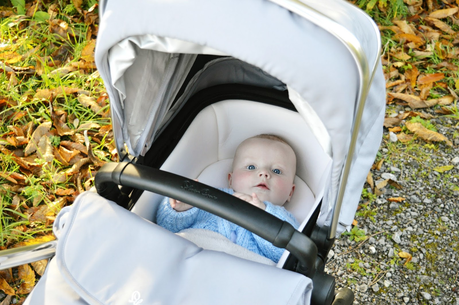 carrycot silver cross