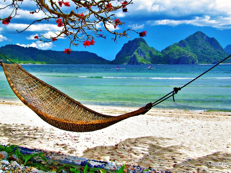 Passionate Hearts The Real Essence Of Life Enjoy the Swings on