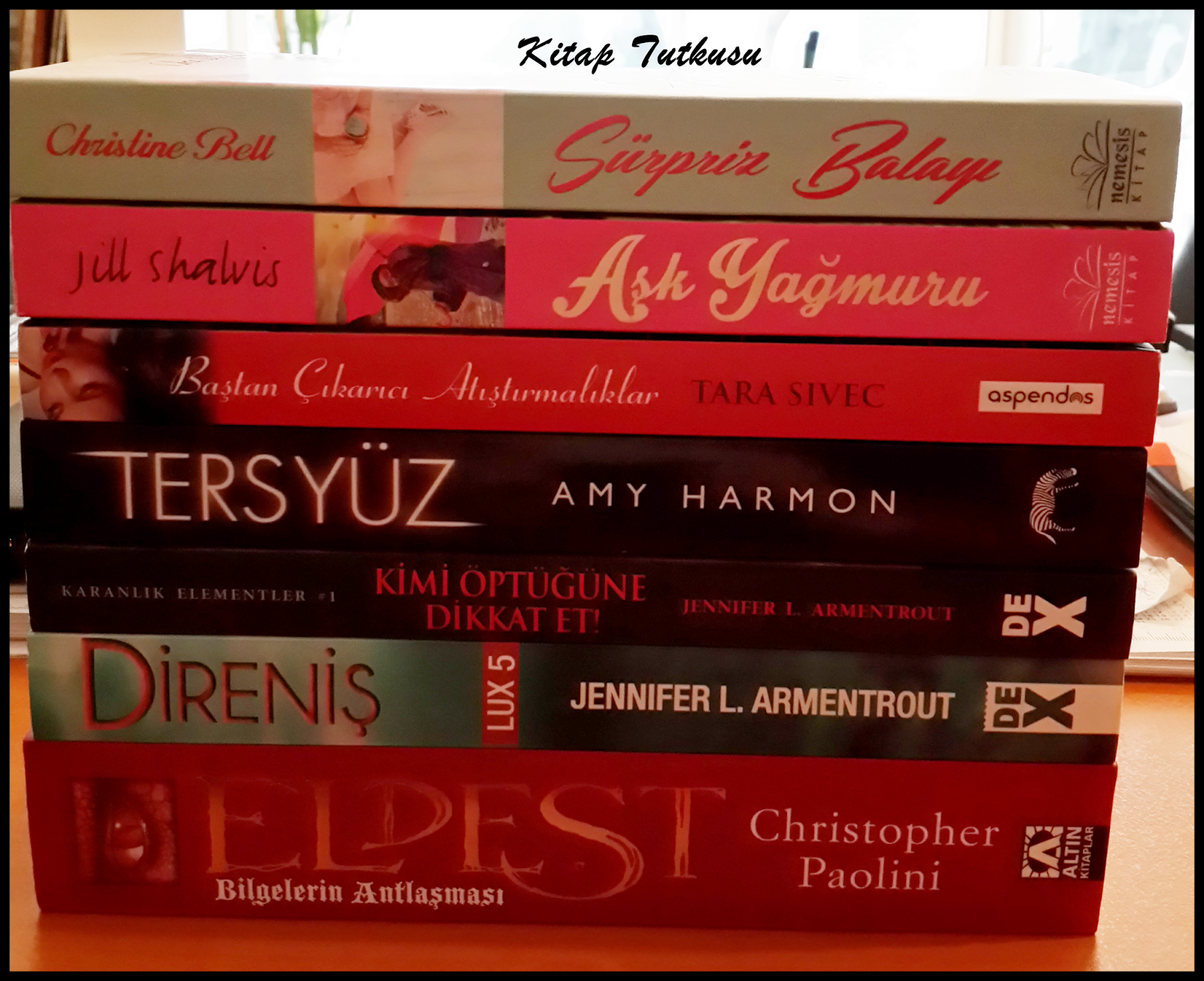 Kitap Tutkusu Kitap Alışverişlerim 28 Yeni Yılın İlk Kitapları