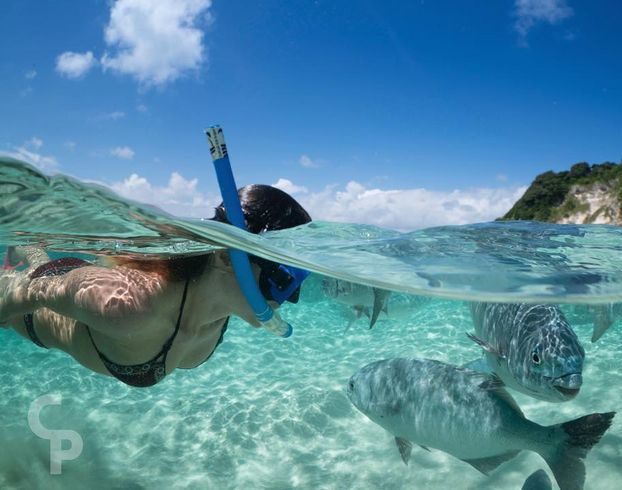 10 Attractive Beaches in Australia to Spend Your Vacation 10 Attractive Beaches in Australia to Spend Your Vacation
