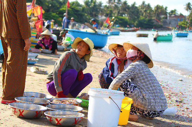 penjualan hasil laut di mui ne penjualan hasil laut di mui ne