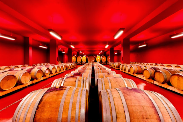 Wine cellar at Cantine Tramin