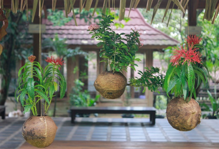 How to make flower pots of coconut shell Vintage Feed Shack