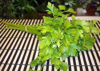 Perejil Foto de un ramillete de perejil verde