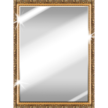 Best Mirror v3.9 AdFree Full APK Best Mirror v3.9 AdFree Full APK