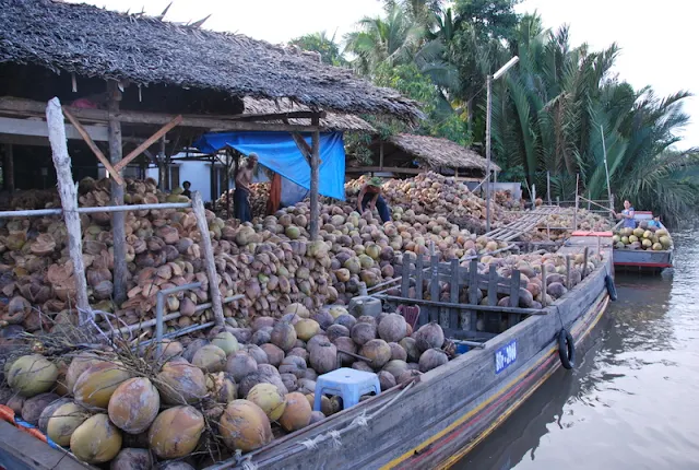 Vietnam Travel Blog