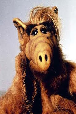 Alf