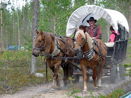 Maailmankylät tapahtuma