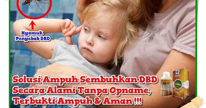 Cara Mengobati Demam Berdarah Tanpa Opname Sampai Tuntas ...