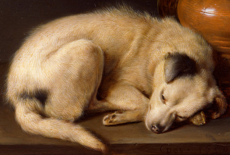 Gods and Foolish Grandeur: Sleeping Dog, by Gerrit Dou, 1650
