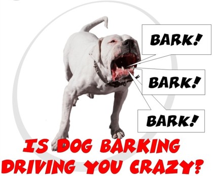 Dog barks перевод