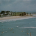 PARENTHETICAL CAPTURES FROM THE MOTION PICTURE 'JAWS'