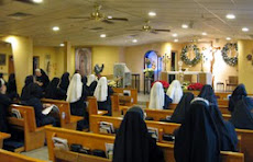Religious Sisters of Mercy of Alma, MI