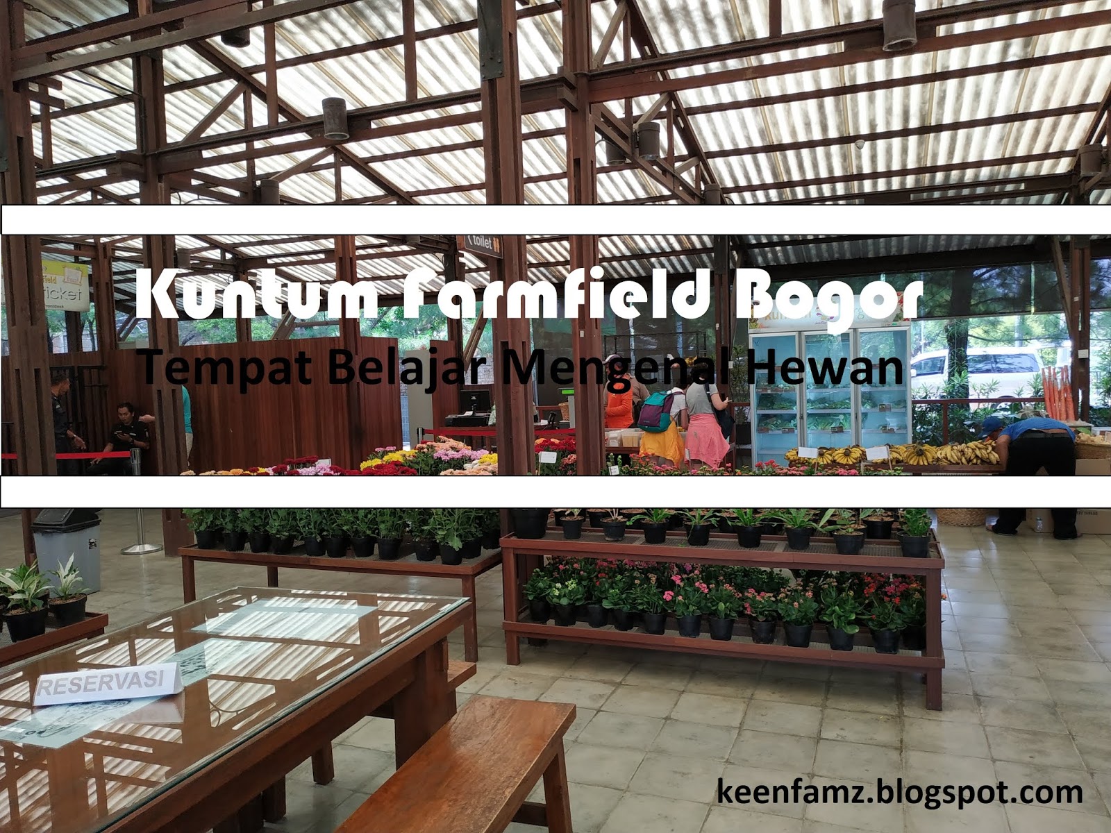 Kuntum Farmfield Bogor Tempat Belajar Mengenal Hewan Coretan Kecil Dalam Hidup