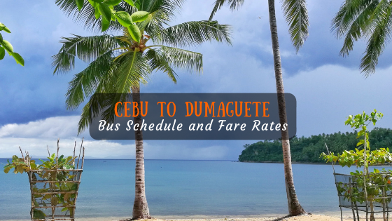 Cebu to Dumaguete Bus Schedule and Fare