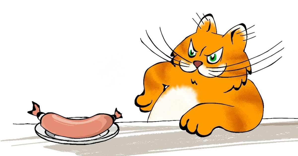 Кот мотя жж