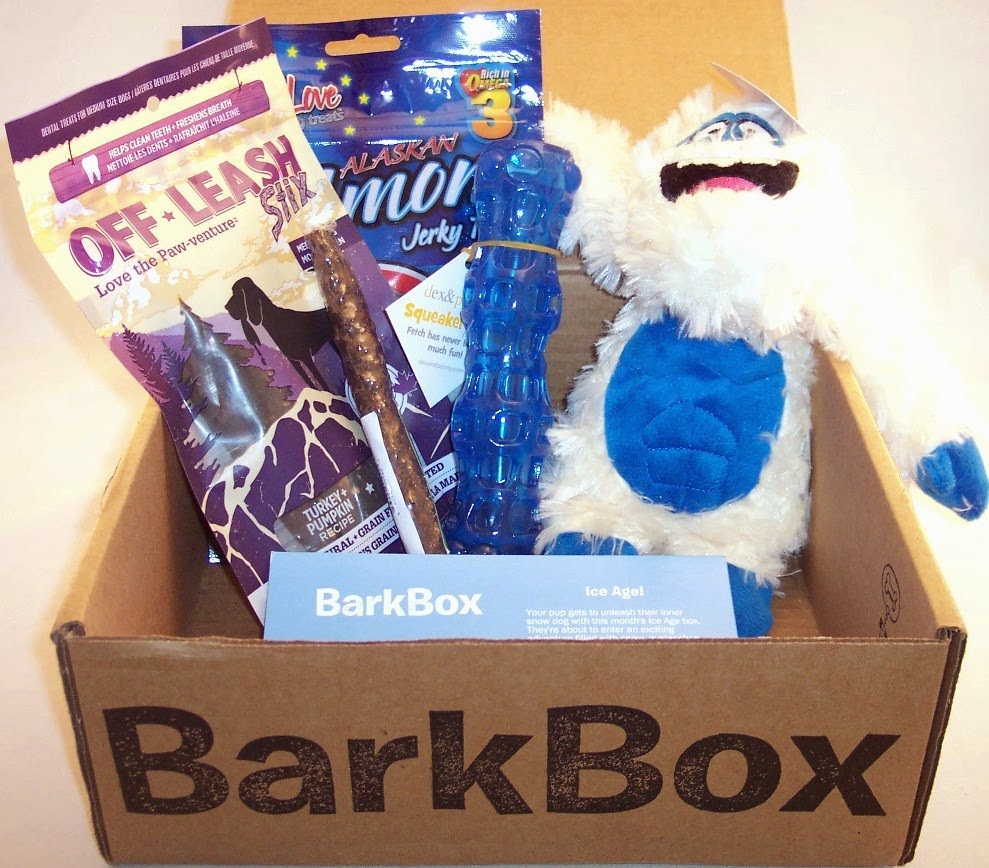Lone Star Shopper BarkBox Dog Subscription Review, January 2015 + 10