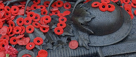 Remembrance Day, poppy, veterans