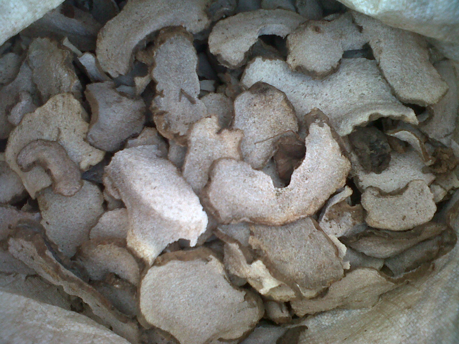 Konjac chips Konjac Flour konnyaku flour PRODUCT