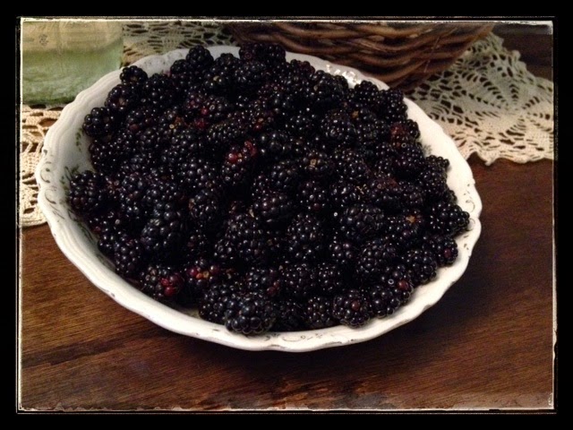 Freshly Picked Wild Blackberries