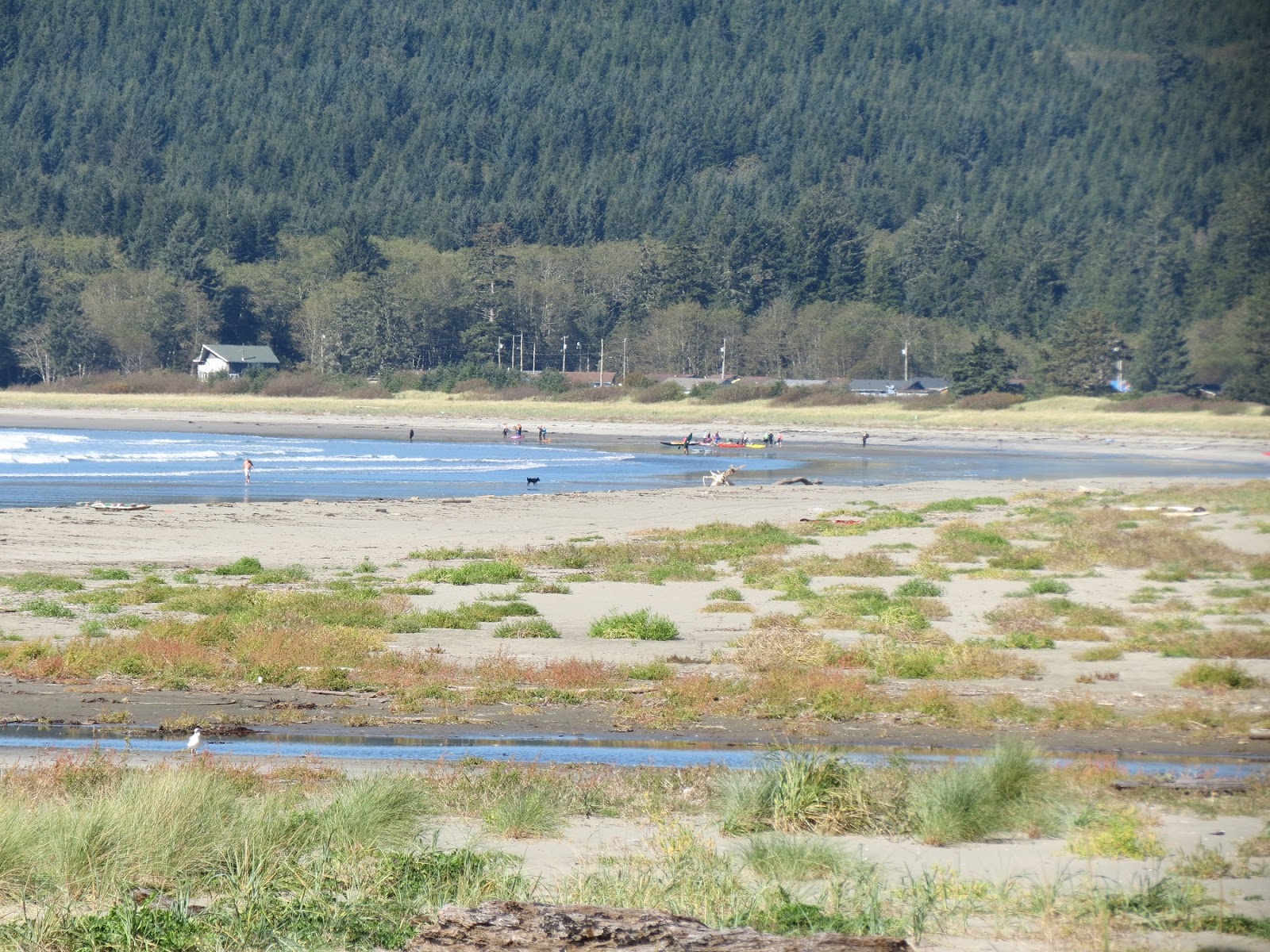 Viewing Nature With Eileen Saturday S Critters 101