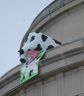 sculpture of cow behind hanging off of MIT's Great Dome