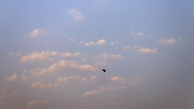 skywatch, sky, blue, bandra, clouds, bird, morning, dawn, mumbai, india, 