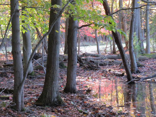 Devil's Kitchen Trail Muskegon State Park