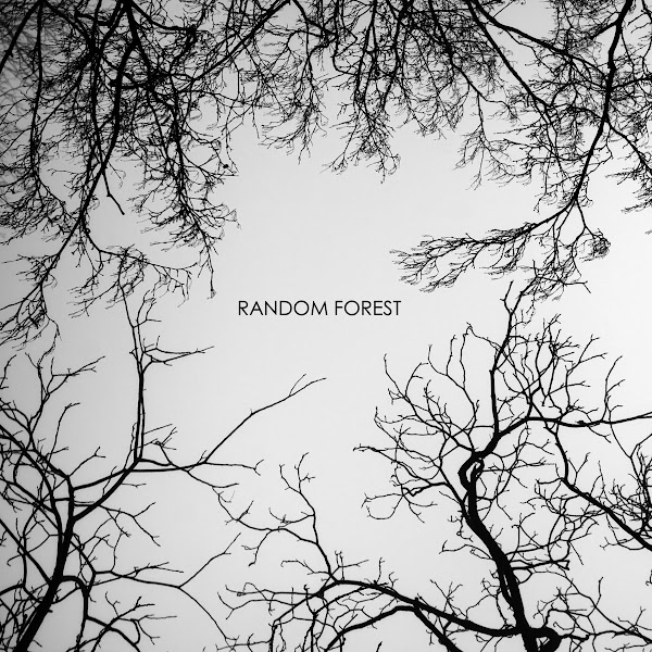 Download this Random Forest The Echelon Effect Side Project picture