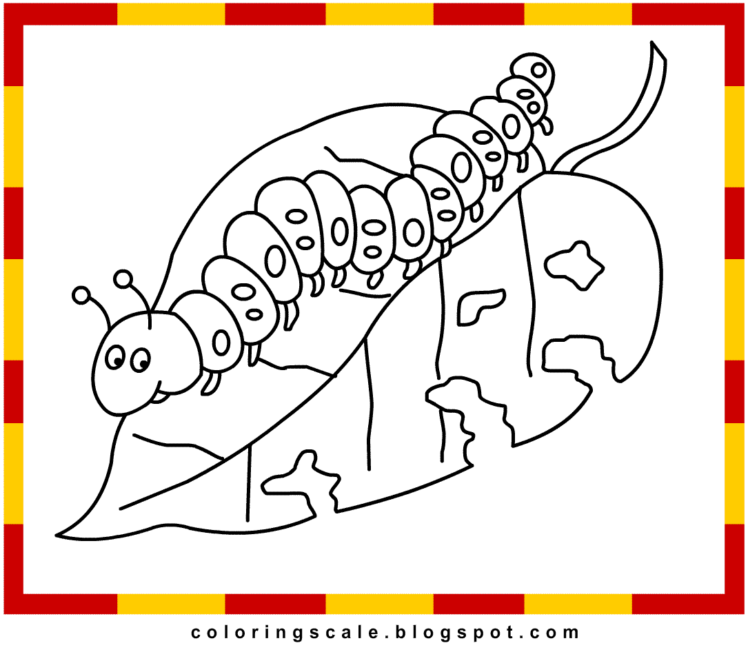 Coloring Pages Printable for kids: Caterpillar Coloring pages for kids