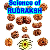 Rudraksh Science
