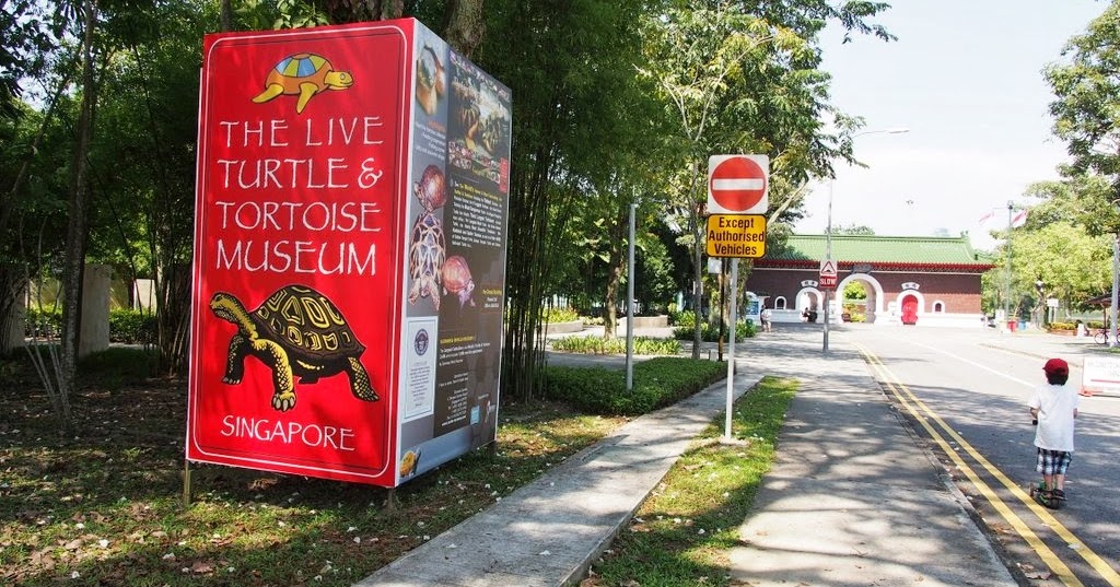 The Live Turtle & Tortoise Museum Singapore Chinese Garden