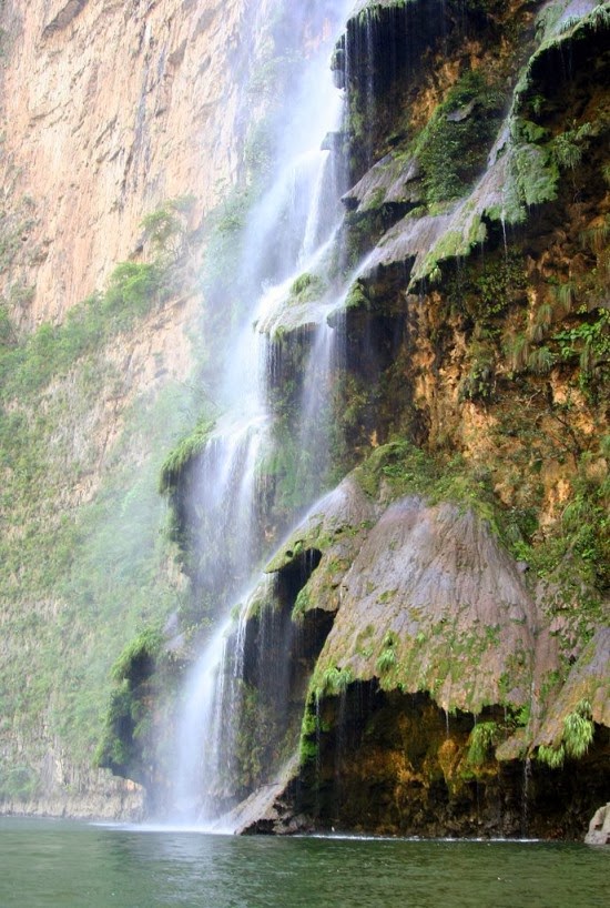 Arbol-de-Navidad-waterfall6-550x818.jpg