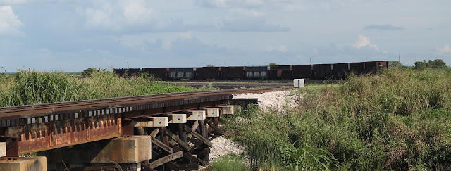 Vías y vagones del ferrocarril de la US Sugar Corporation, el South Central Florida Express Vías y vagones del ferrocarril de la US Sugar Corporation, el South Central Florida Express