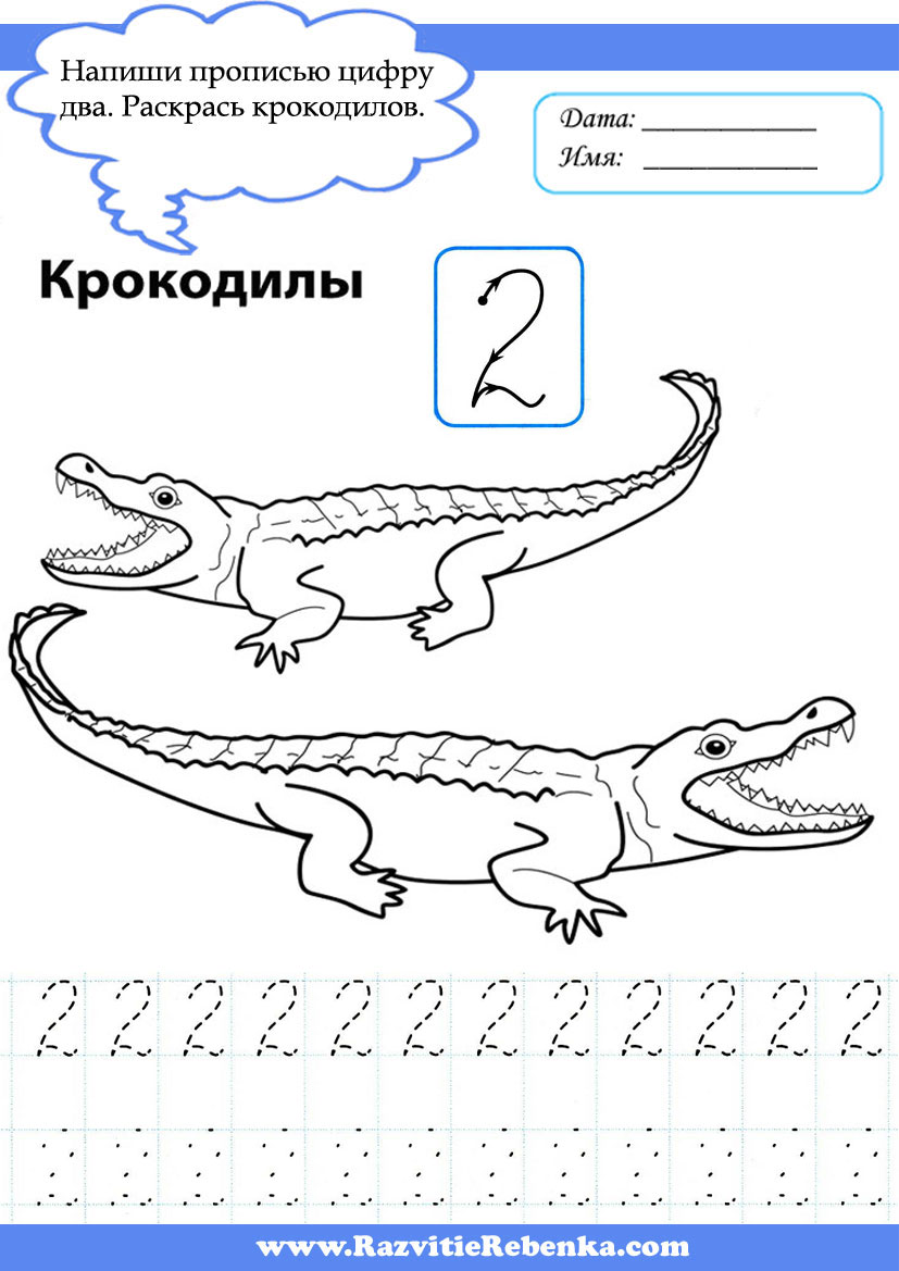 РАЗВИТИЕ РЕБЕНКА: Пропись . Учимся писать Цифры от 1 до 10.