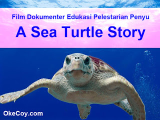 Film Dokumenter Edukasi Pelestarian Penyu : A Sea Turtle Story Film Dokumenter Edukasi Pelestarian Penyu : A Sea Turtle Story