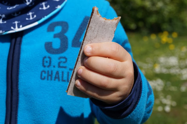 Vom Spielen, Schiffe gucken, Picknicken und Fähre fahren am Nord-Ostsee-Kanal. Picknick Bio Produkte Sesamstrasse: Leckere gesunde Snacks für Kinder Erwachsene ohne Zucker kein Zucker Früchte-Riegel Quetschies Tee Kekse Cookies Obst Gemüse Mix