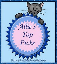 Allie's Top Pick Award