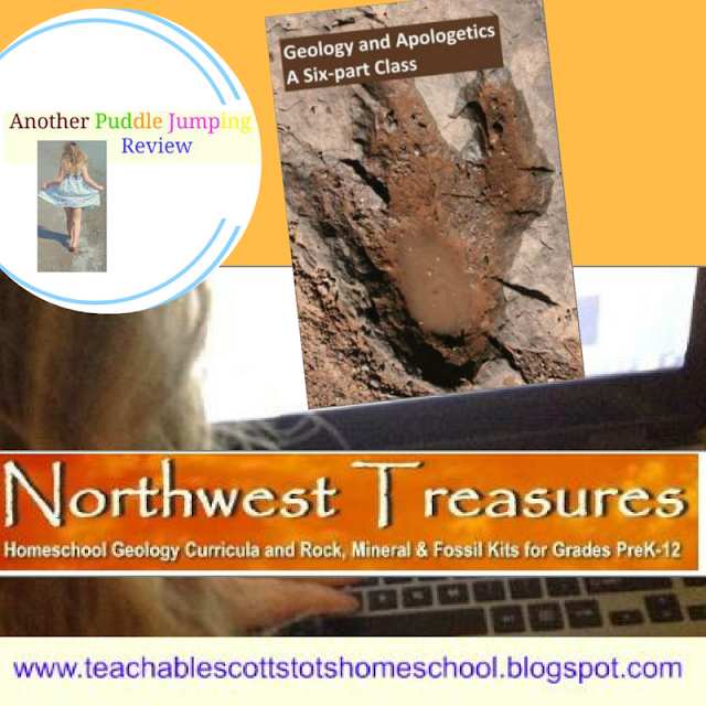 Review, #hsreviews, #geology, #dinosaurs, #apologetics, Geology, Geology Classes, Apologetics, Dinosaurs, Online Classes