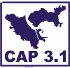 CAP 3.1